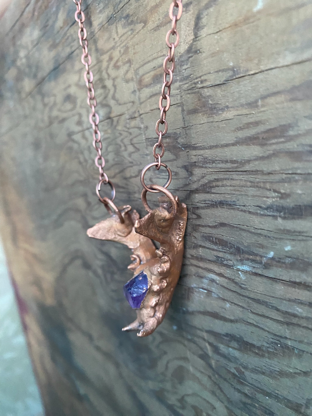 Raccoon Jaw Bone with Amethyst Copper Electroformed Necklace