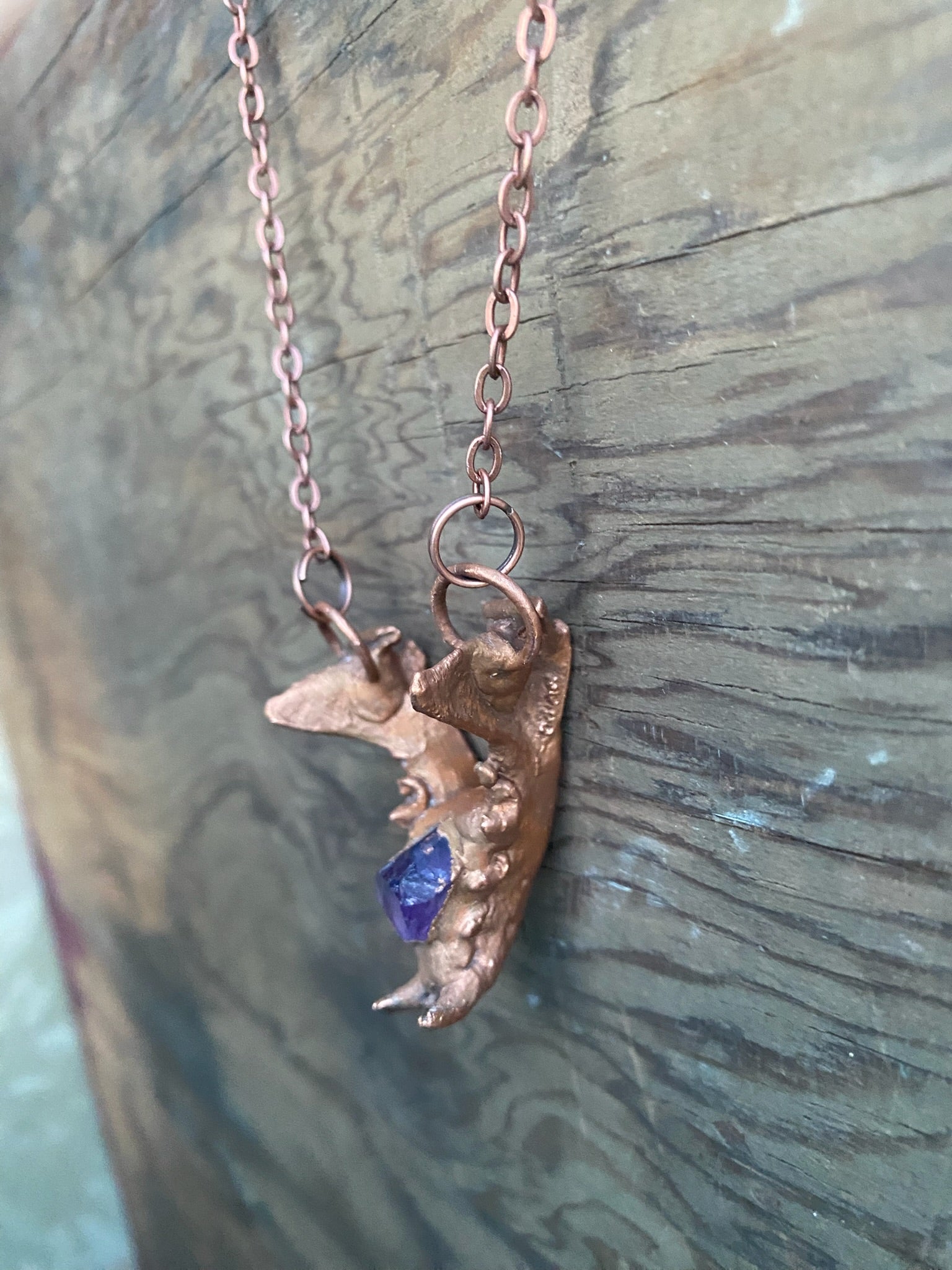 Raccoon Jaw Bone with Amethyst Copper Electroformed Necklace
