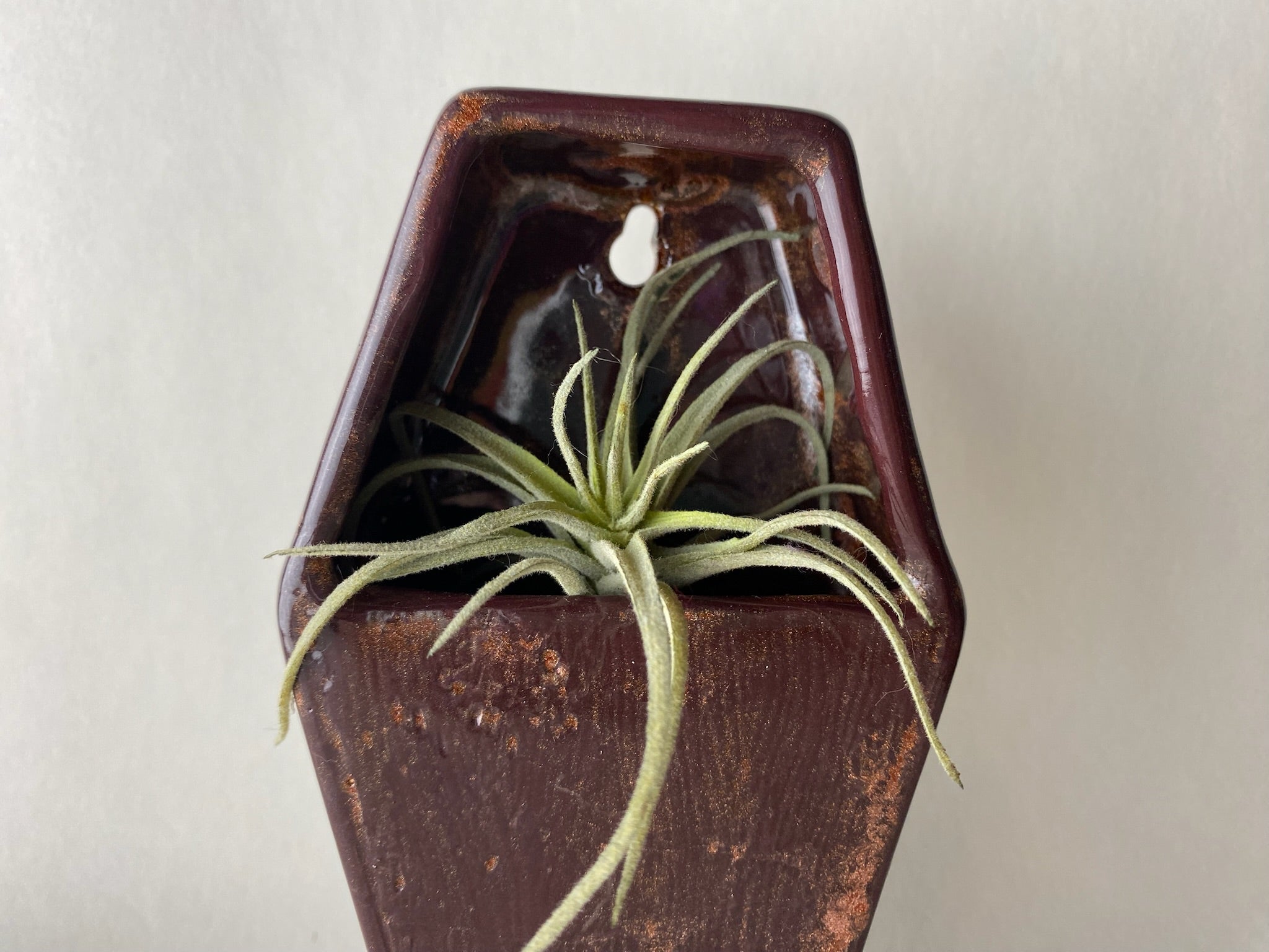 Coffin Hanging Planter Wall Pocket
