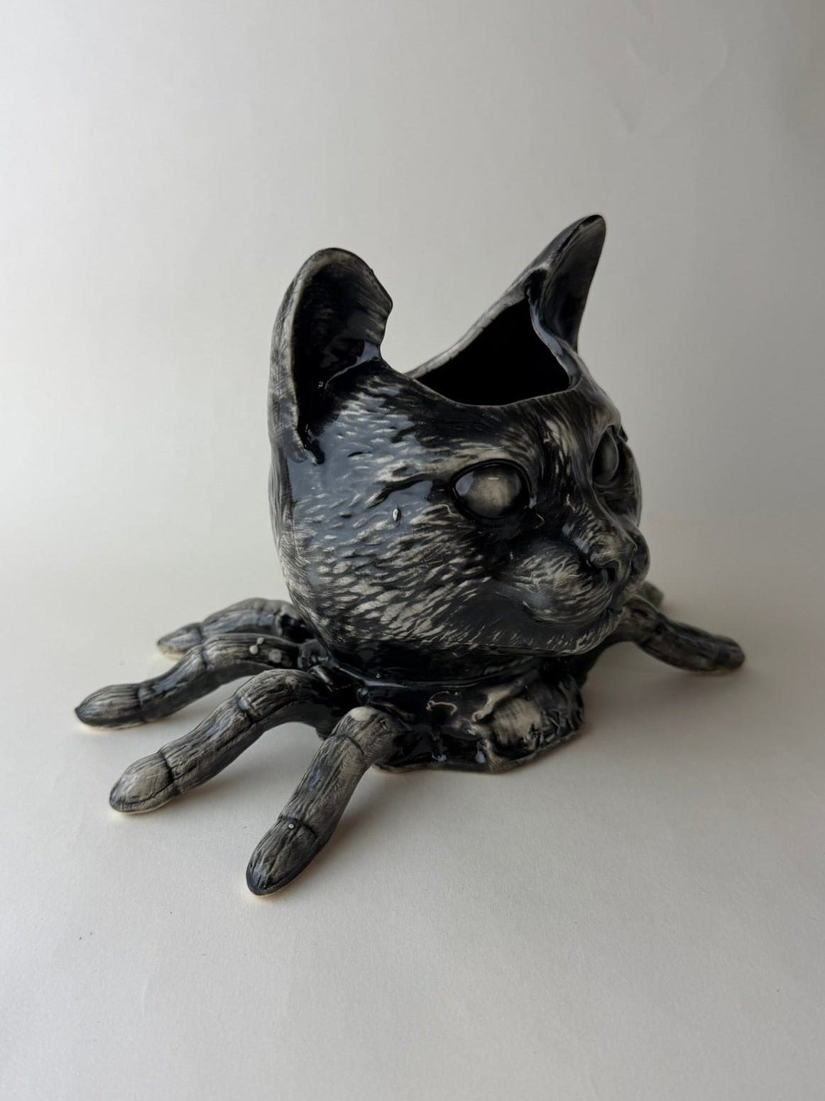 Spider Cat Head