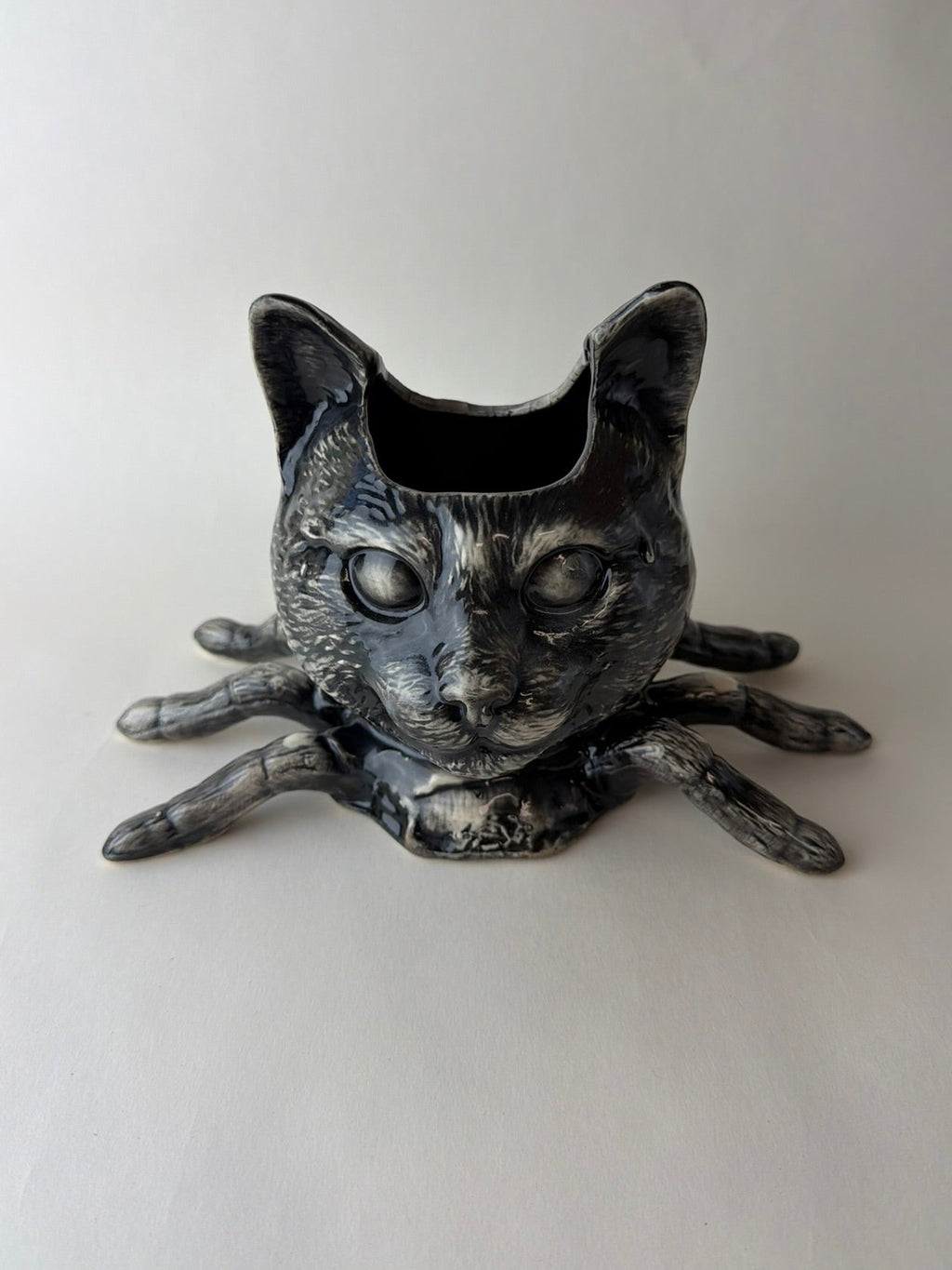 Spider Cat Head