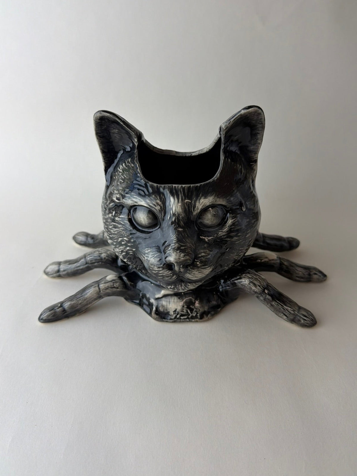 Spider Cat Head
