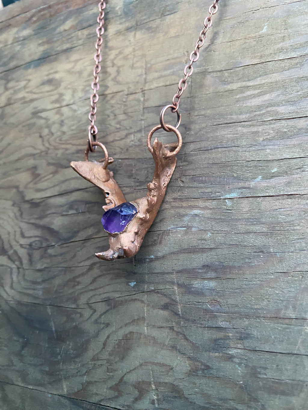 Raccoon Jaw Bone with Amethyst Copper Electroformed Necklace