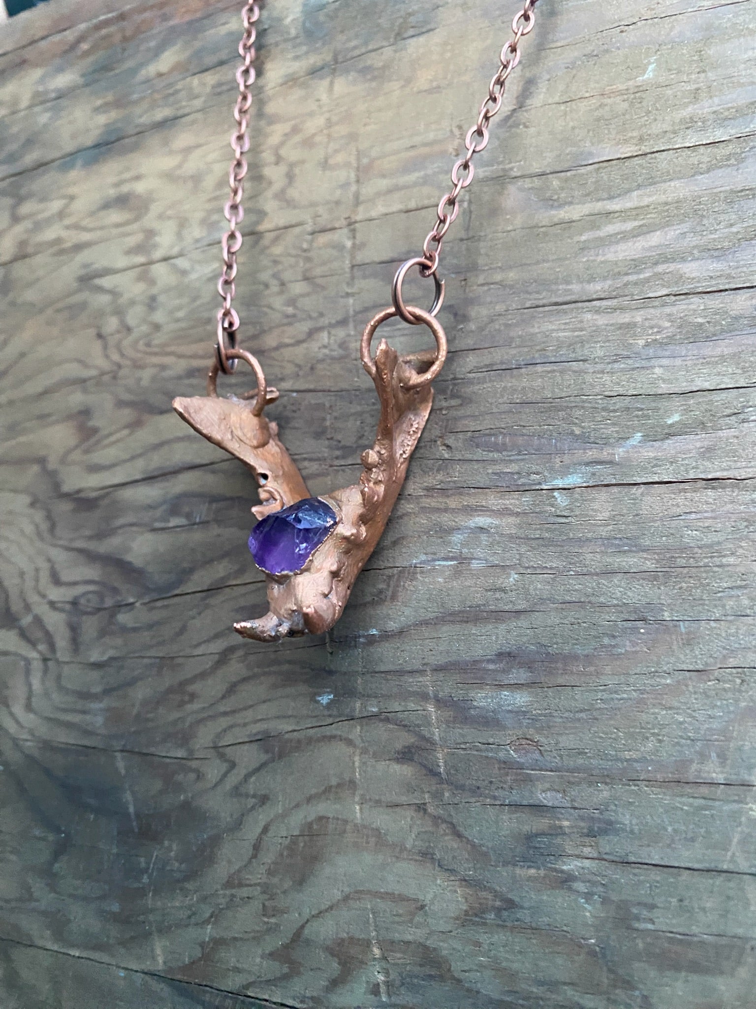 Raccoon Jaw Bone with Amethyst Copper Electroformed Necklace