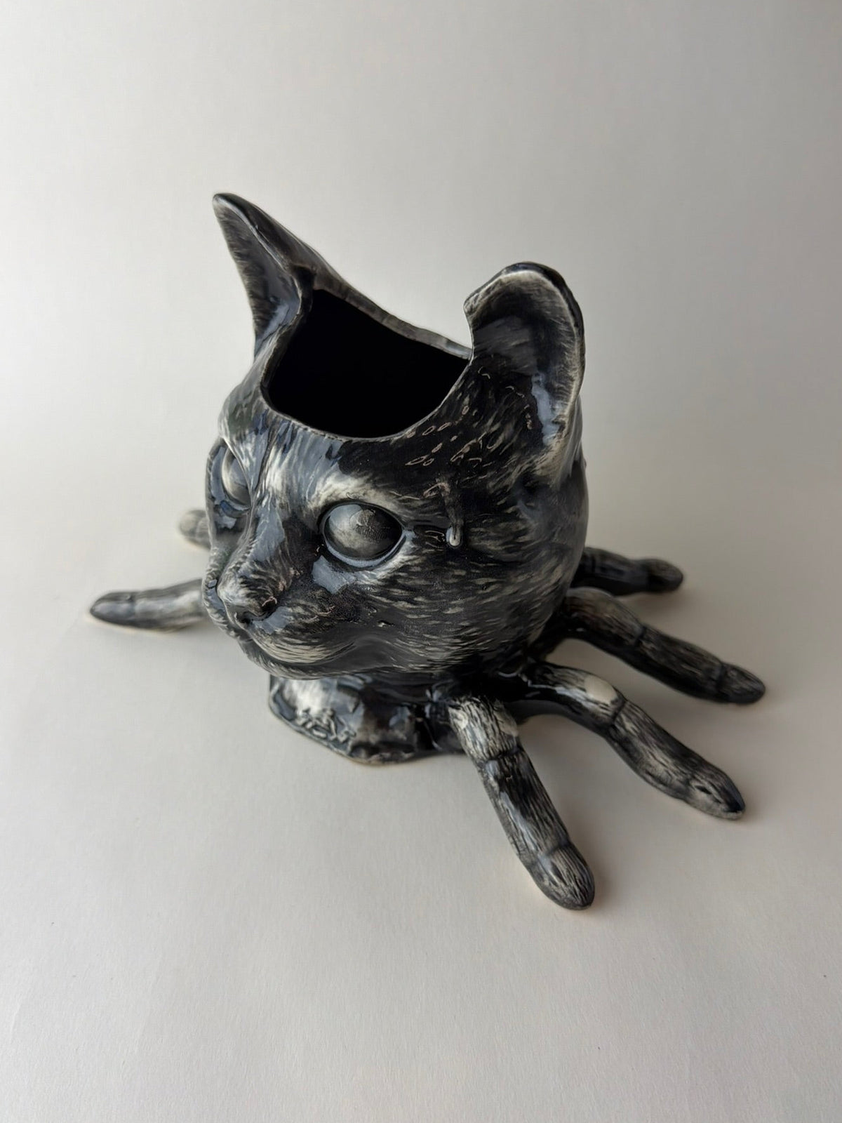 Spider Cat Head