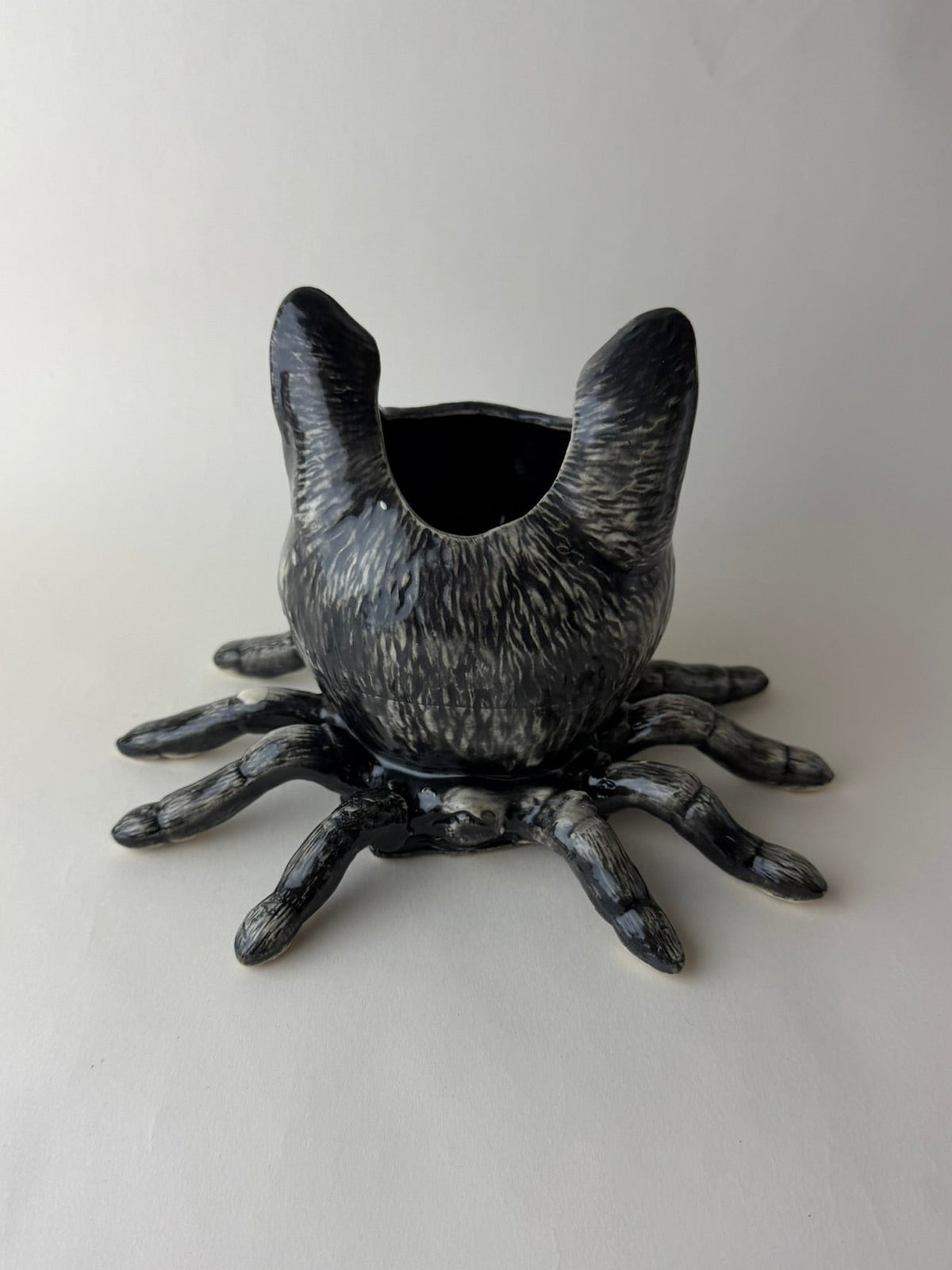 Spider Cat Head