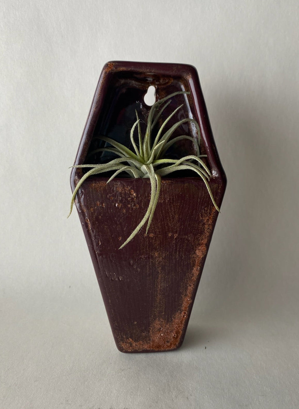 Coffin Hanging Planter Wall Pocket
