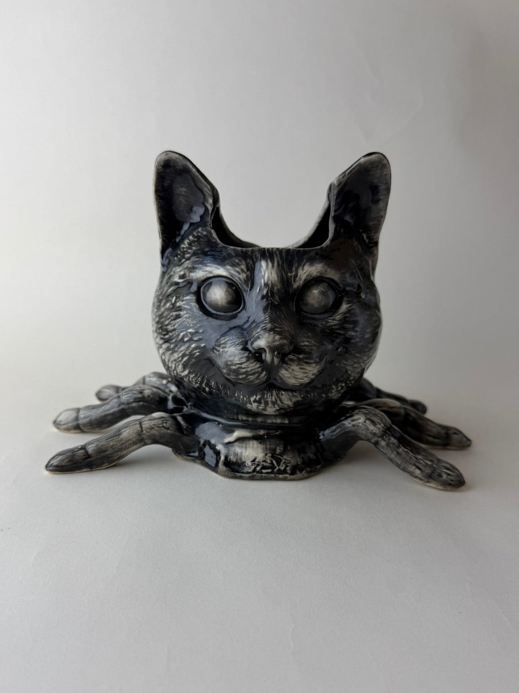 Spider Cat Head
