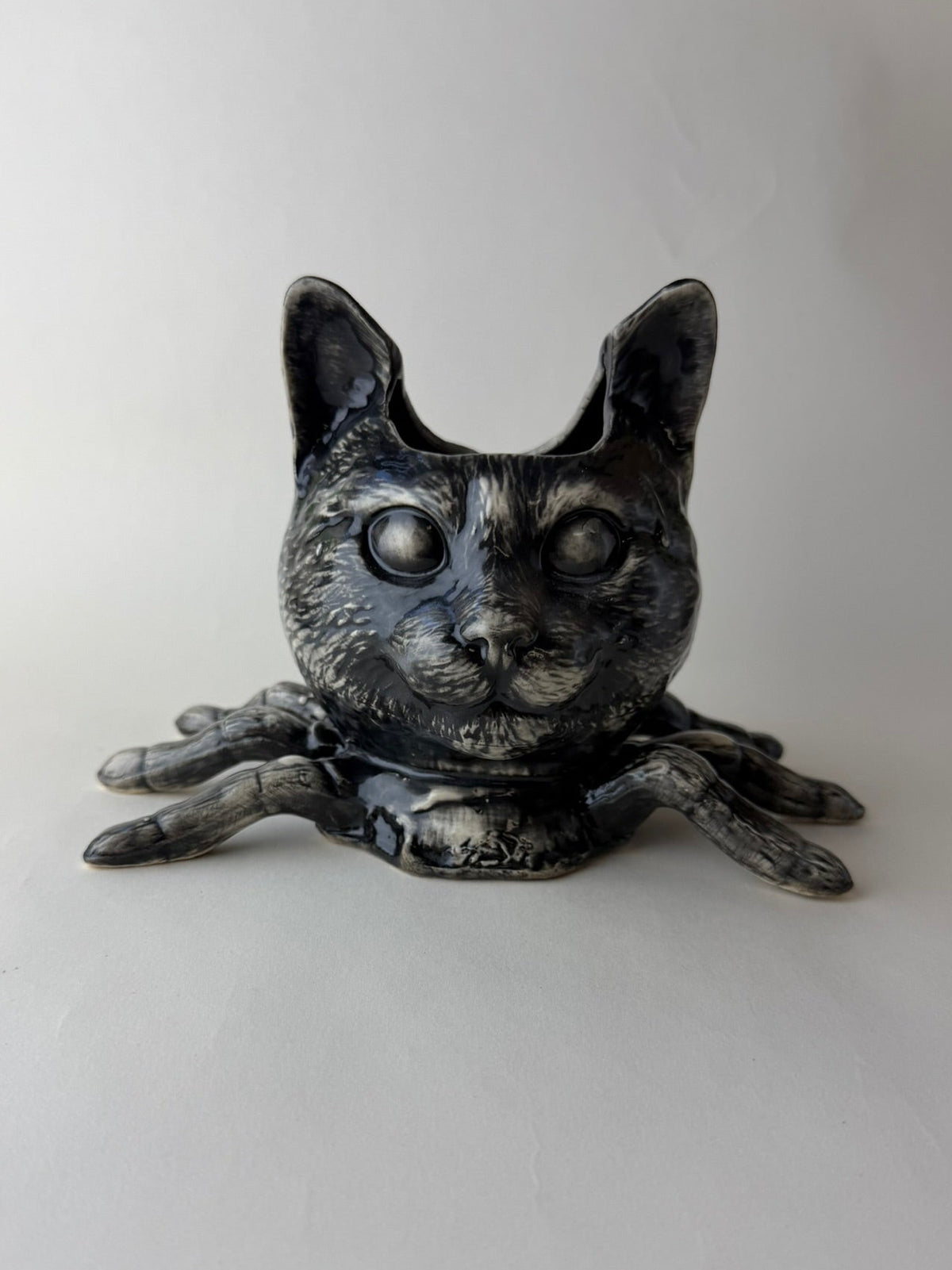Spider Cat Head
