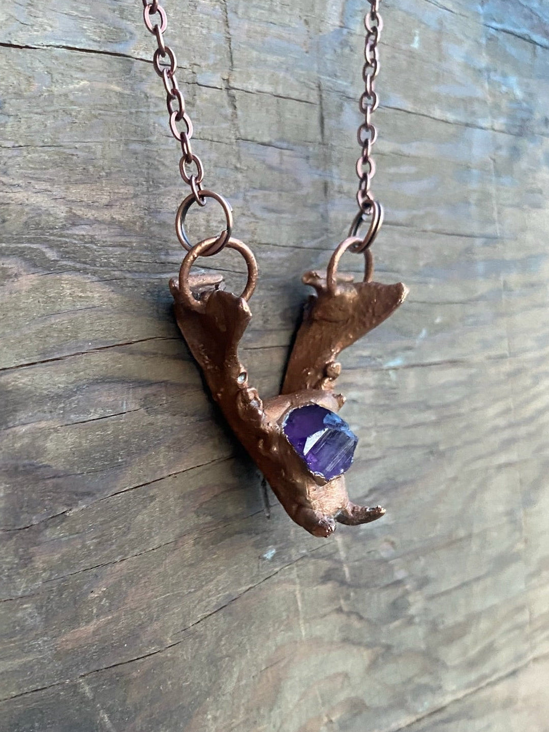 Raccoon Jaw Bone with Amethyst Copper Electroformed Necklace