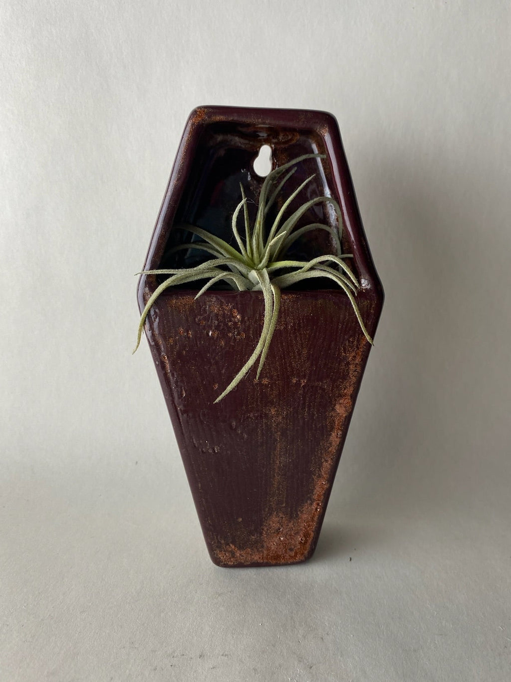 Coffin Hanging Planter Wall Pocket