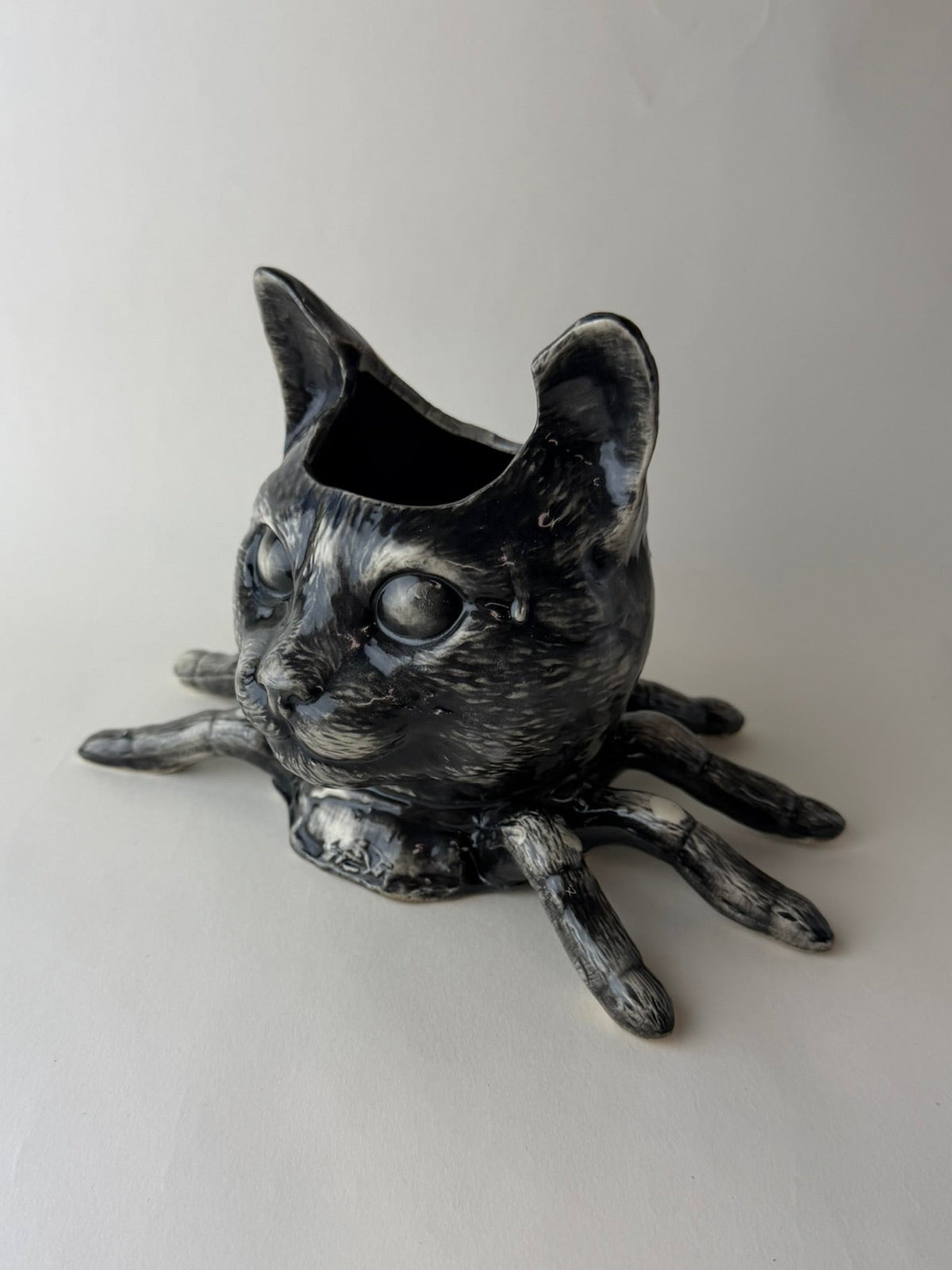 Spider Cat Head