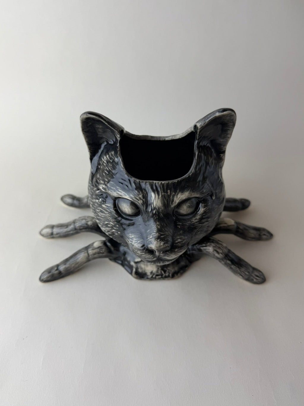 Spider Cat Head