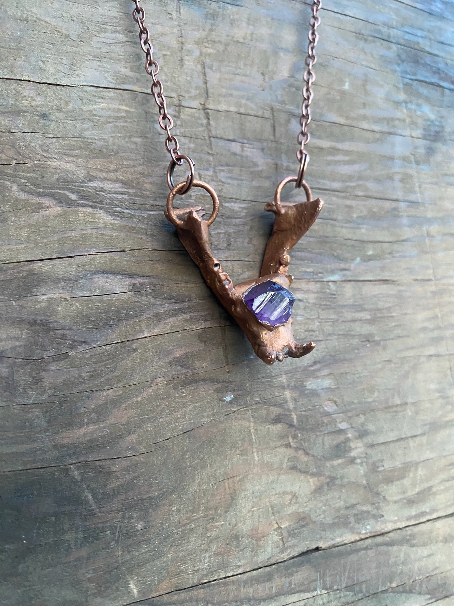 Raccoon Jaw Bone with Amethyst Copper Electroformed Necklace