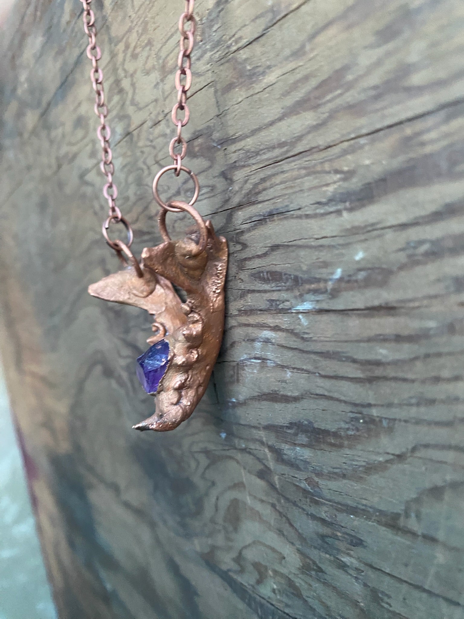 Raccoon Jaw Bone with Amethyst Copper Electroformed Necklace
