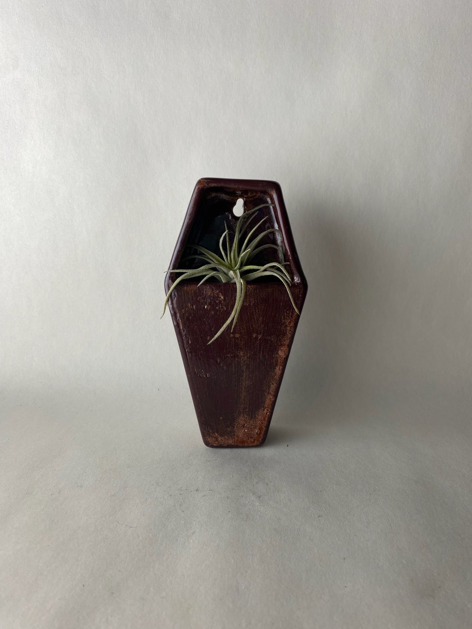 Coffin Hanging Planter Wall Pocket