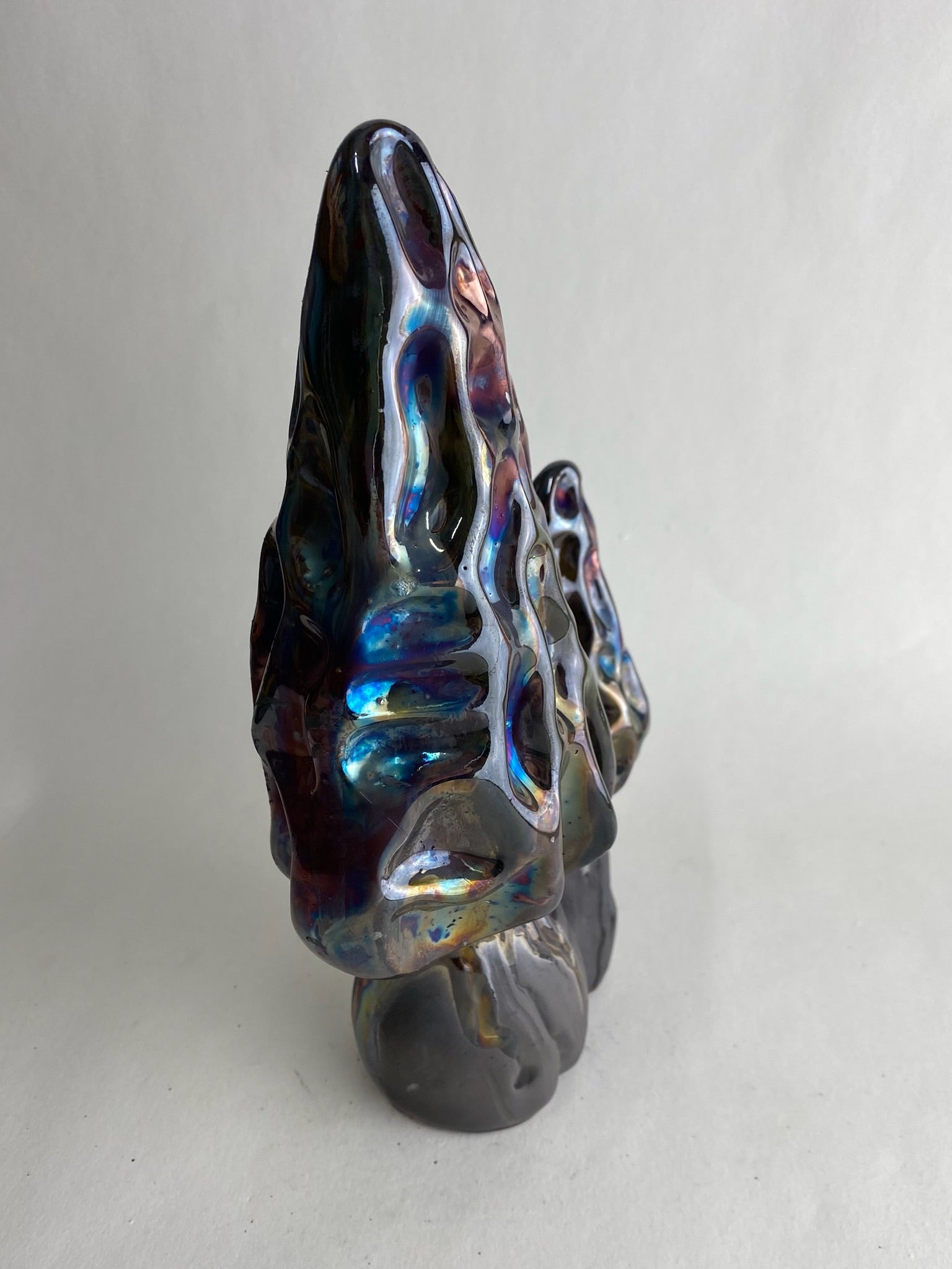 Raku Morel Mushroom