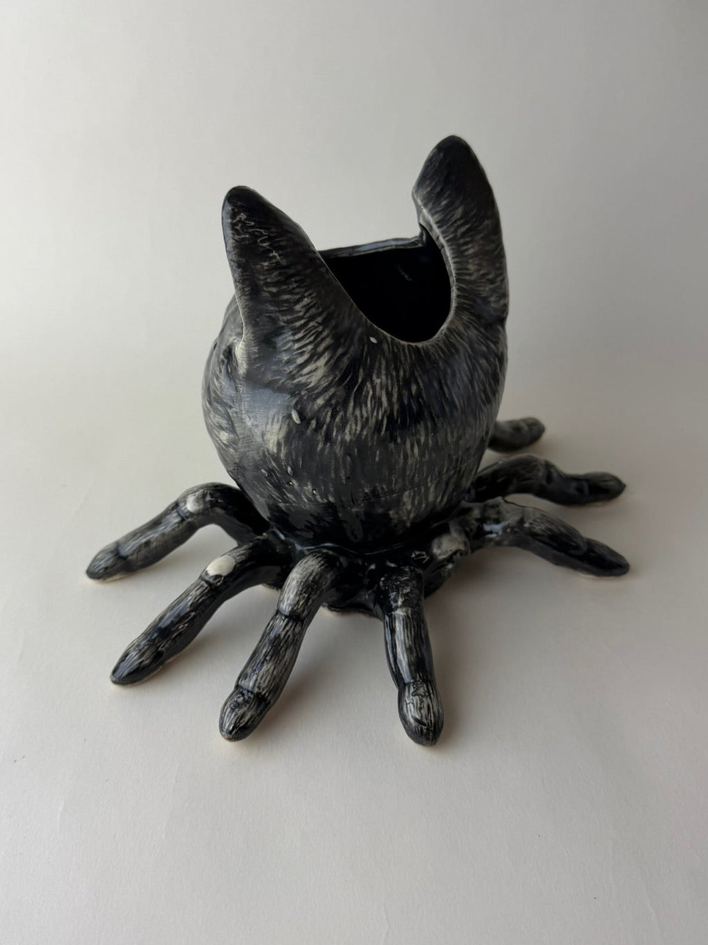 Spider Cat Head